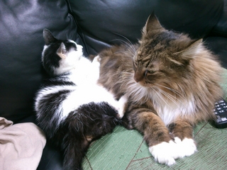 2013-03-24-10-24-19_photo.jpg