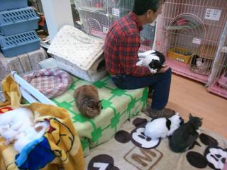 2013-10-27-11-28-13_photo.jpg