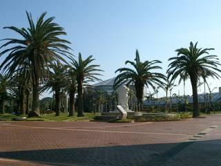 2013-10-27-13-38-48_photo.jpg