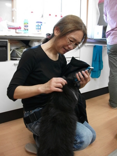 20131027114011.jpg
