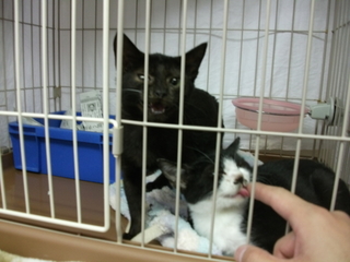 20131027114619.jpg